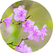 축제 이미지