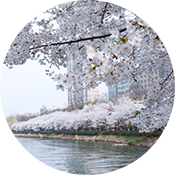 축제 이미지