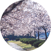 축제 이미지