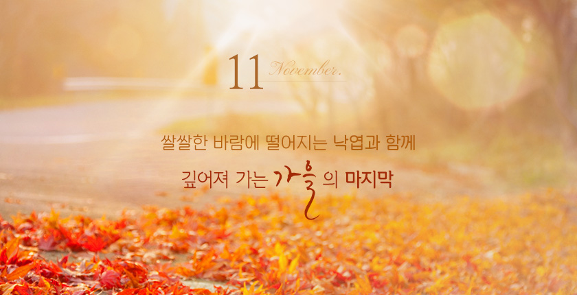 11월의 배너