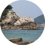 축제 이미지