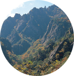 축제 이미지